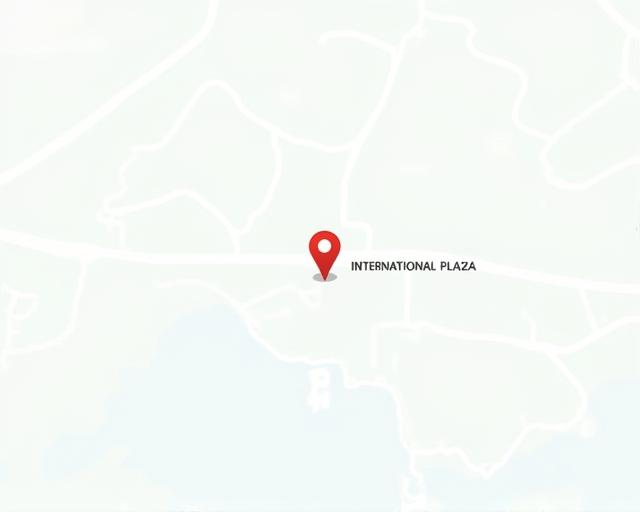 Map showing the location of Nutmeg Optic in International Plaza, Singapore